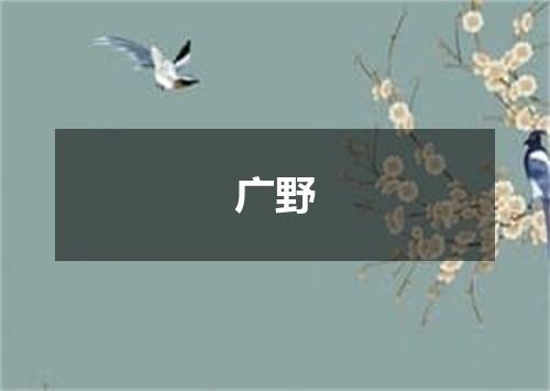 广野