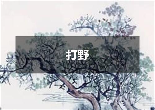 打野
