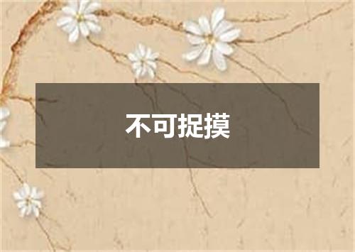 不可捉摸