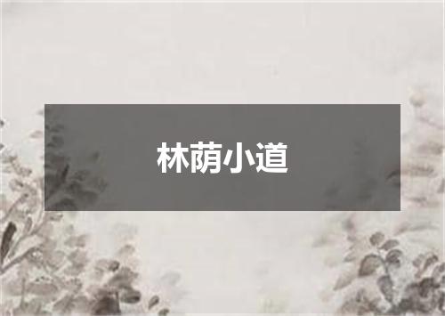 林荫小道