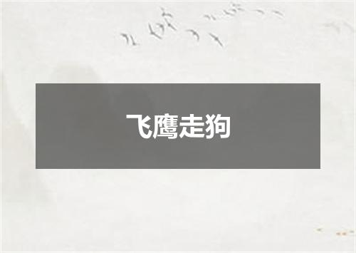飞鹰走狗