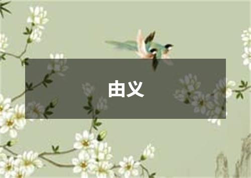 由义