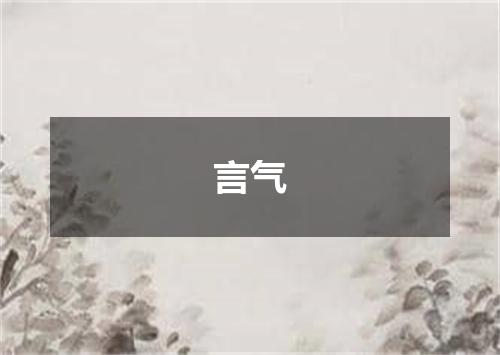 言气