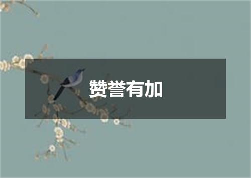 赞誉有加
