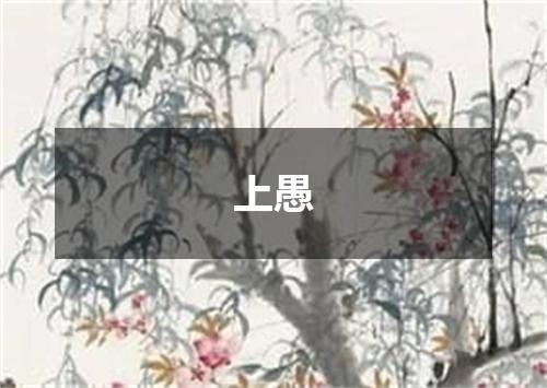 上愚