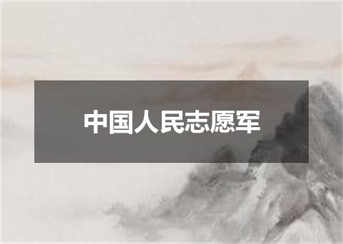 中国人民志愿军