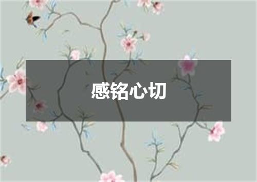 感铭心切