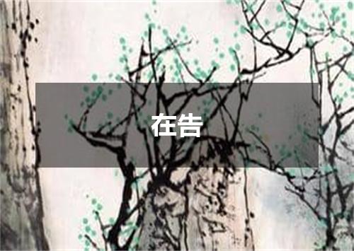 在告