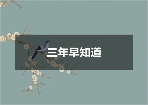 三年早知道