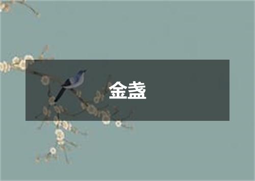 金盏
