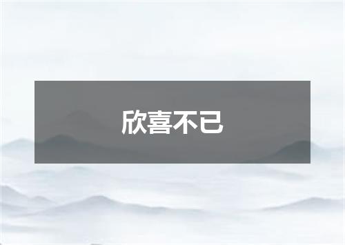 欣喜不已