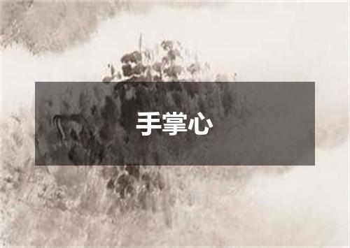 手掌心