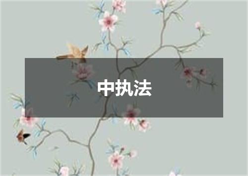中执法