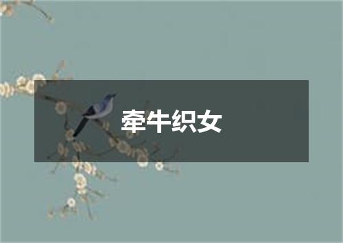 牵牛织女