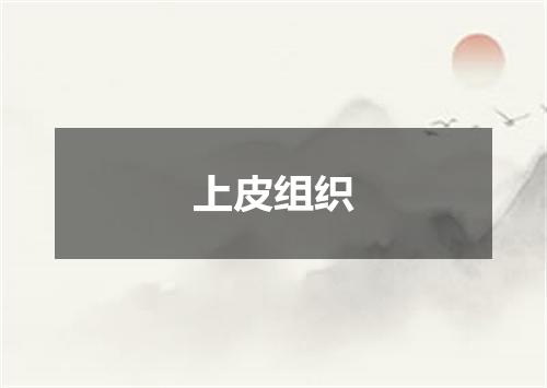 上皮组织