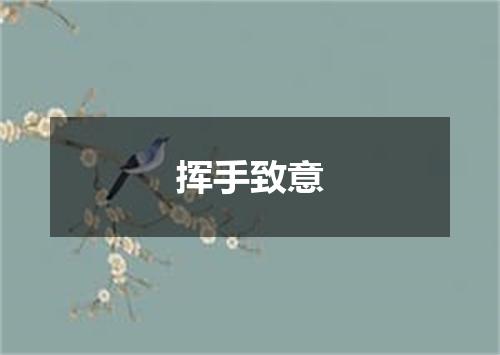 挥手致意