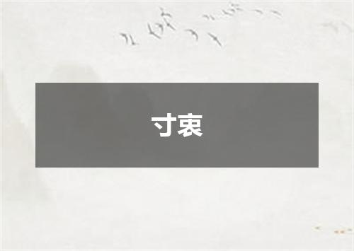 寸衷