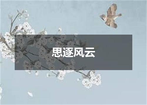 思逐风云