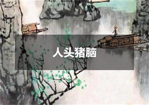 人头猪脑