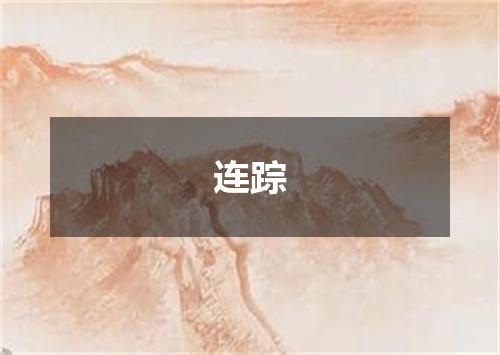 连踪