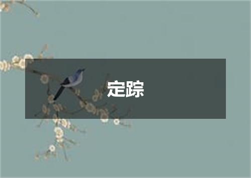 定踪