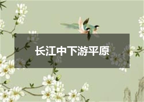 长江中下游平原