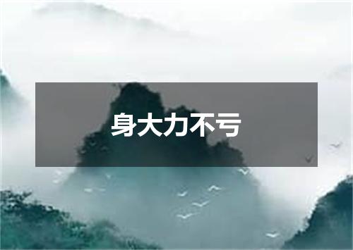 身大力不亏