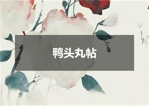 鸭头丸帖