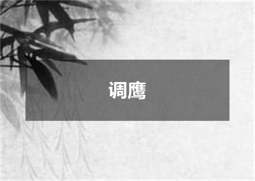 调鹰