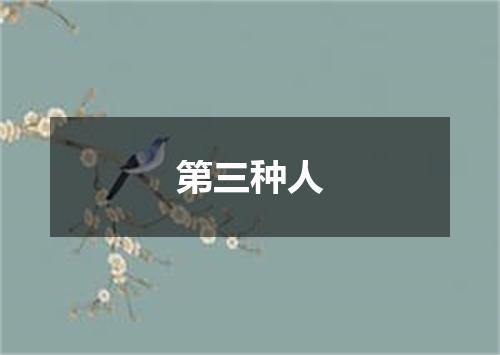 第三种人