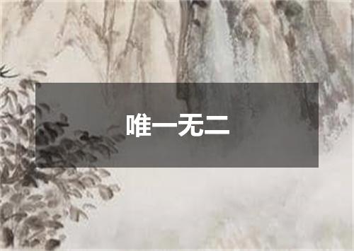 唯一无二
