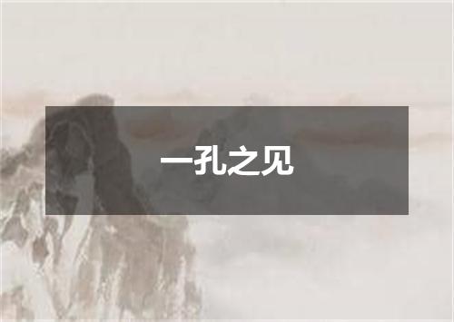一孔之见