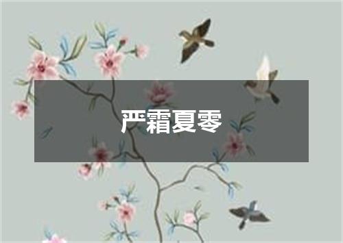 严霜夏零