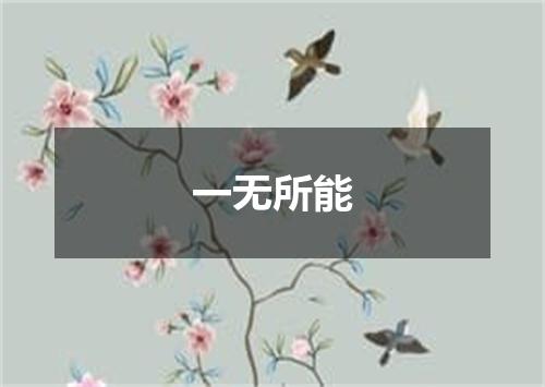 一无所能