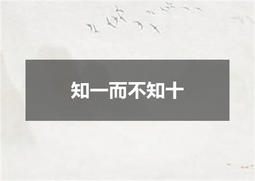 知一而不知十