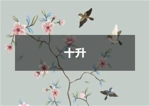 十升