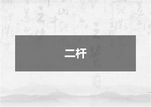二杆