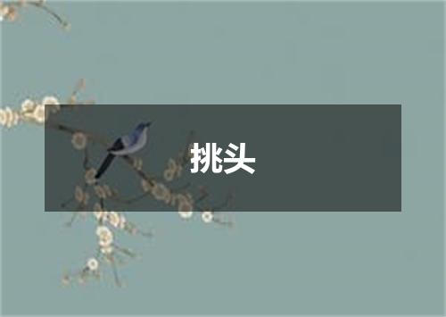 挑头