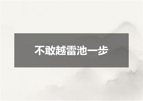 不敢越雷池一步