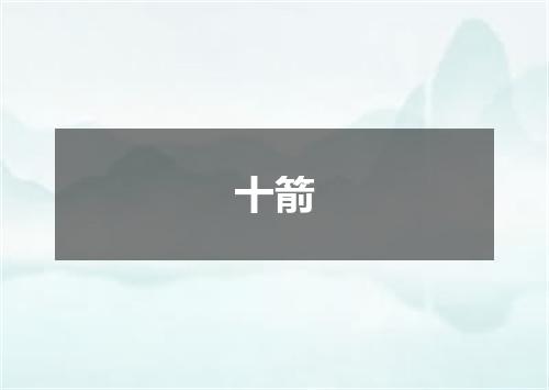 十箭