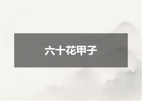 六十花甲子