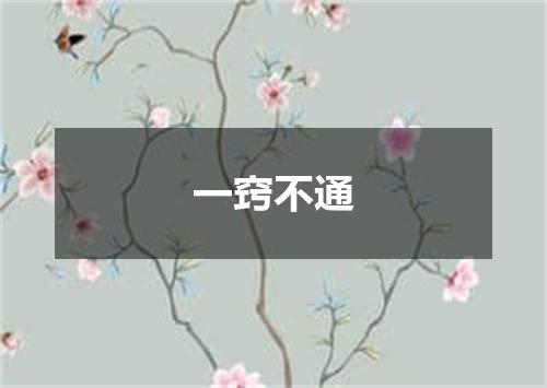 一窍不通