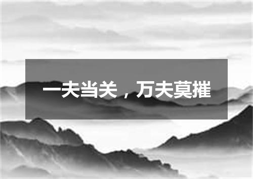一夫当关，万夫莫摧
