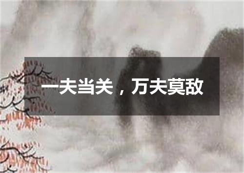 一夫当关，万夫莫敌