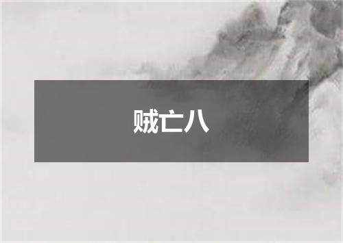 贼亡八