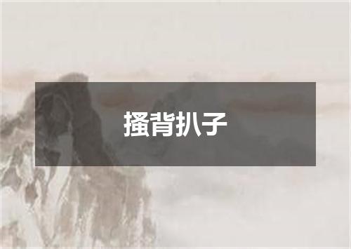 搔背扒子