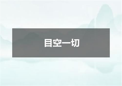 目空一切