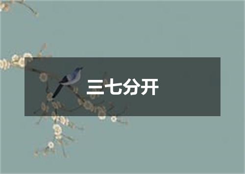 三七分开