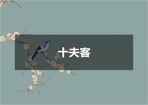 十夫客