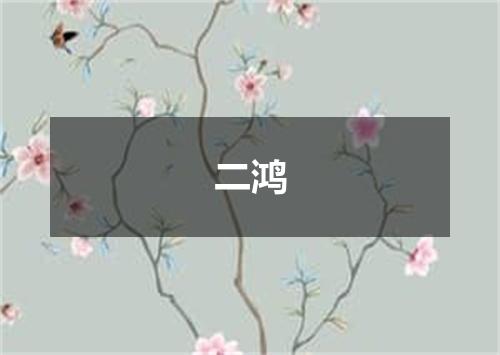 二鸿